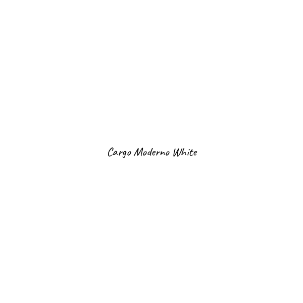 Cargo Moderno - immagine 3