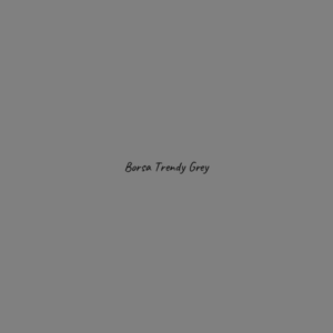 Borsa Trendy
