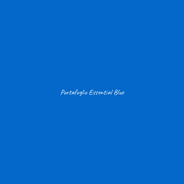 Portafoglio Essential - immagine 5