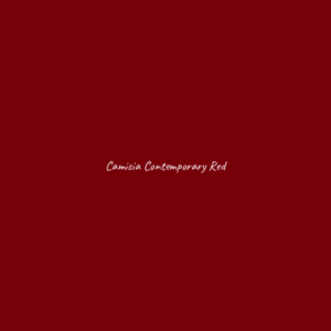Camicia Contemporary
