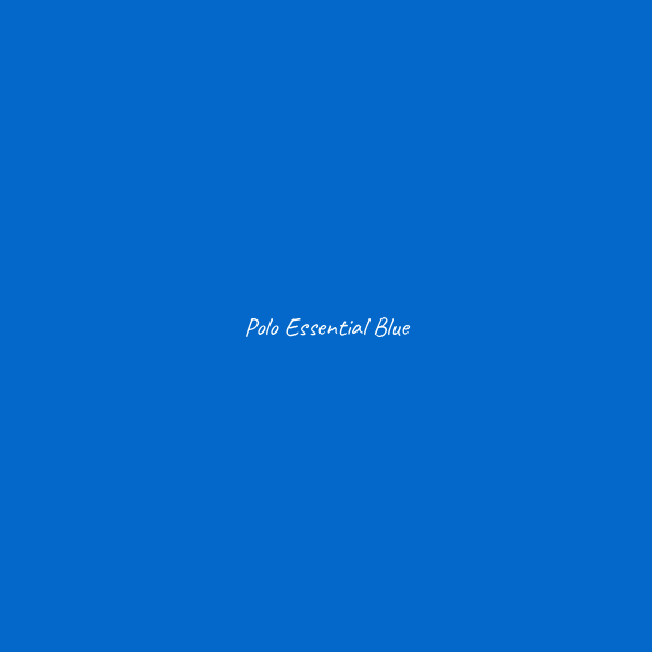 Polo Essential - immagine 3