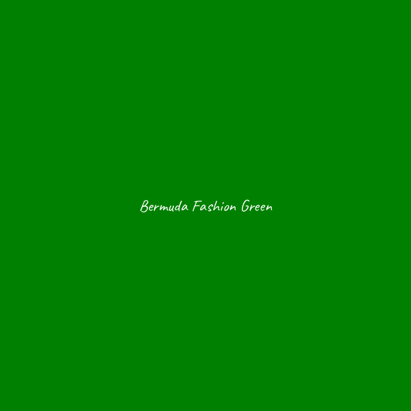 Bermuda Fashion - immagine 6
