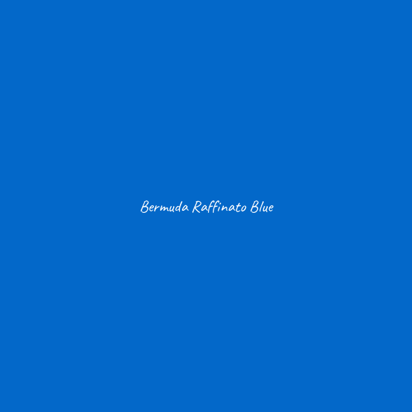 Bermuda Raffinato - immagine 5