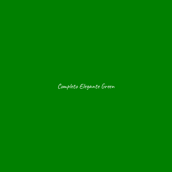 Completo Elegante - immagine 5